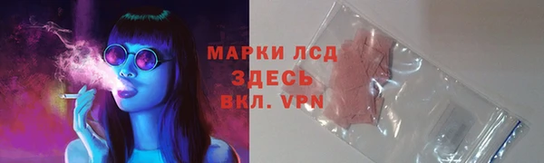 PSILOCYBIN Белоозёрский