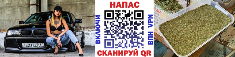 Каннабис индика  Лаишево 